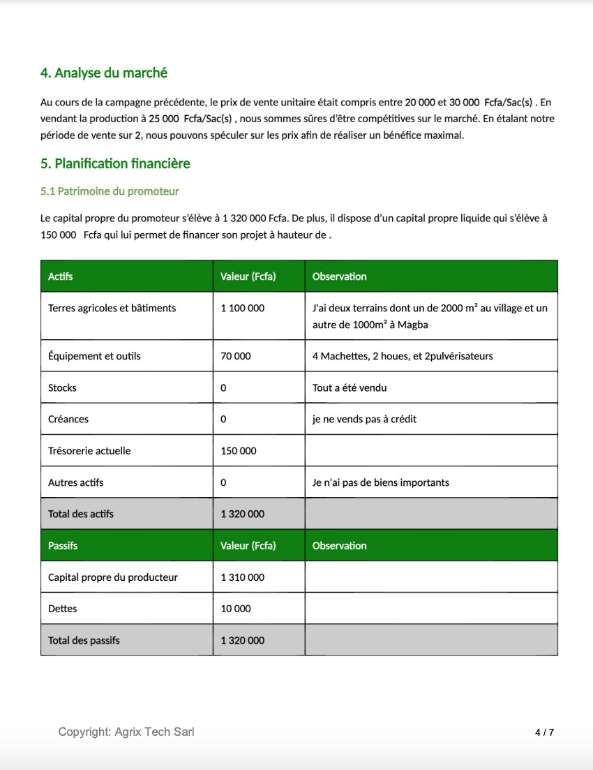 Prevision financiére -  business plan